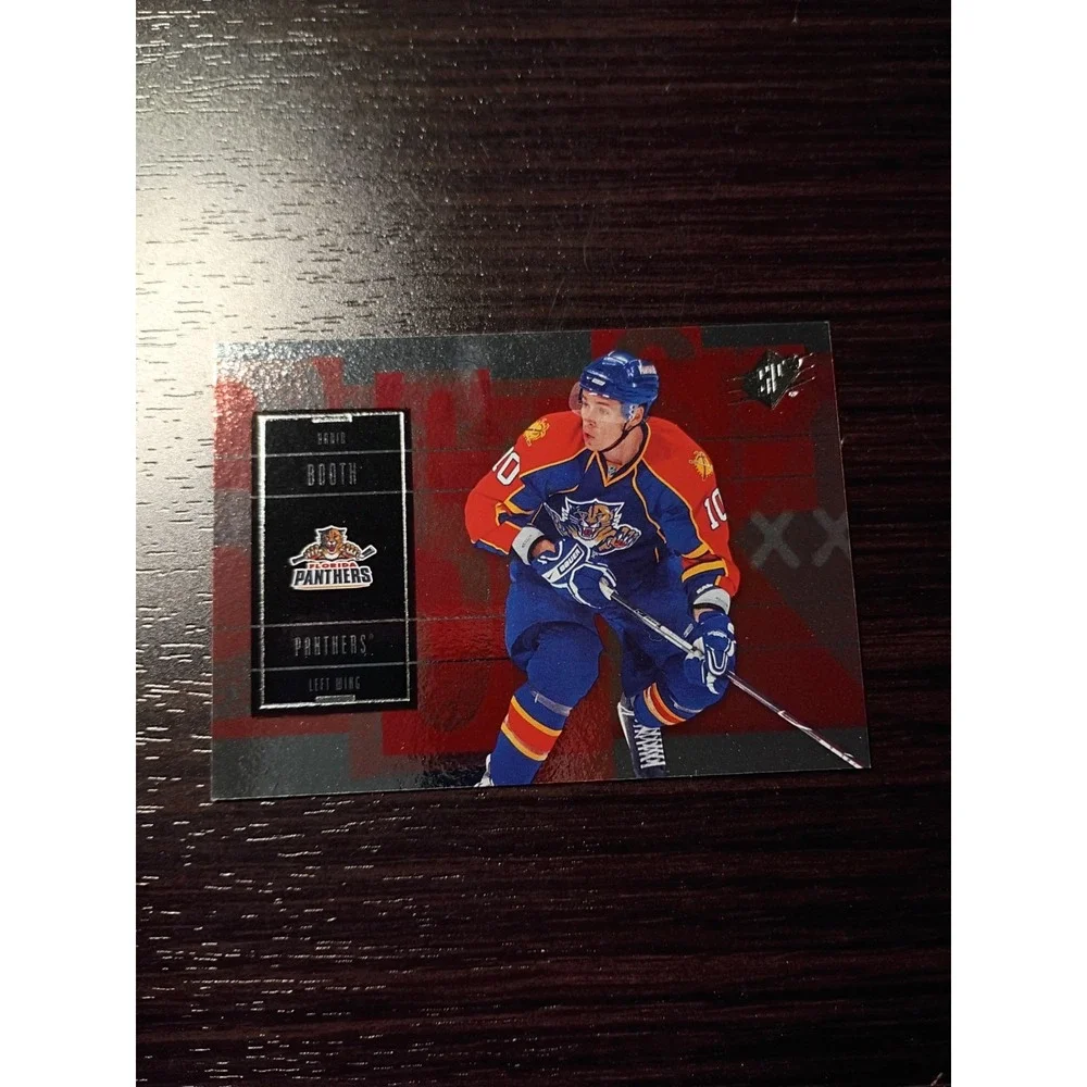 2009-2010 Upper Deck Florida Panthers David Booth Hockey Cards #26